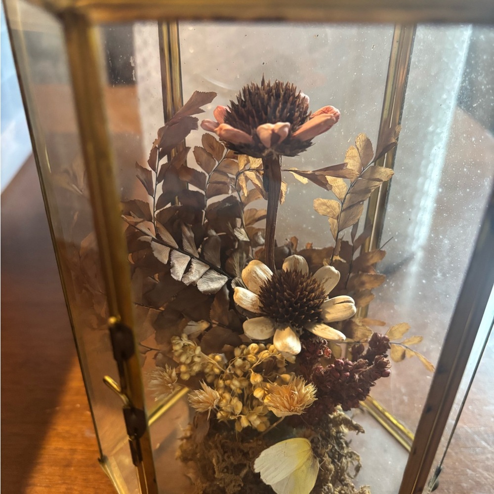 Dried Floral Vintage Chic Gold Case Persevered Flower So Unique As Is Final Sale